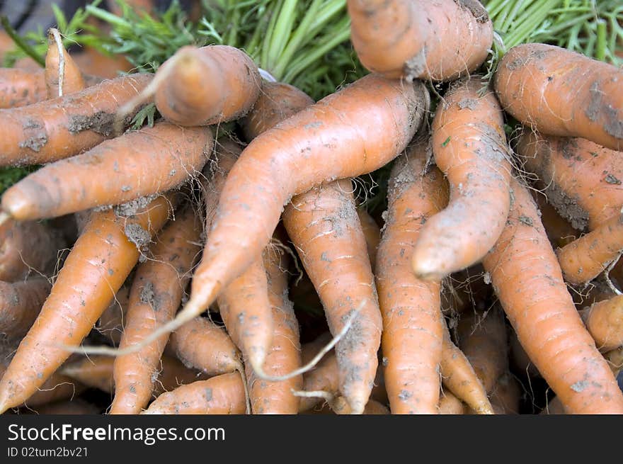 Shot of pile of carrots at french market