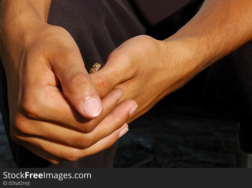 Baby Toad in the Palm of a Hand. Baby Toad in the Palm of a Hand