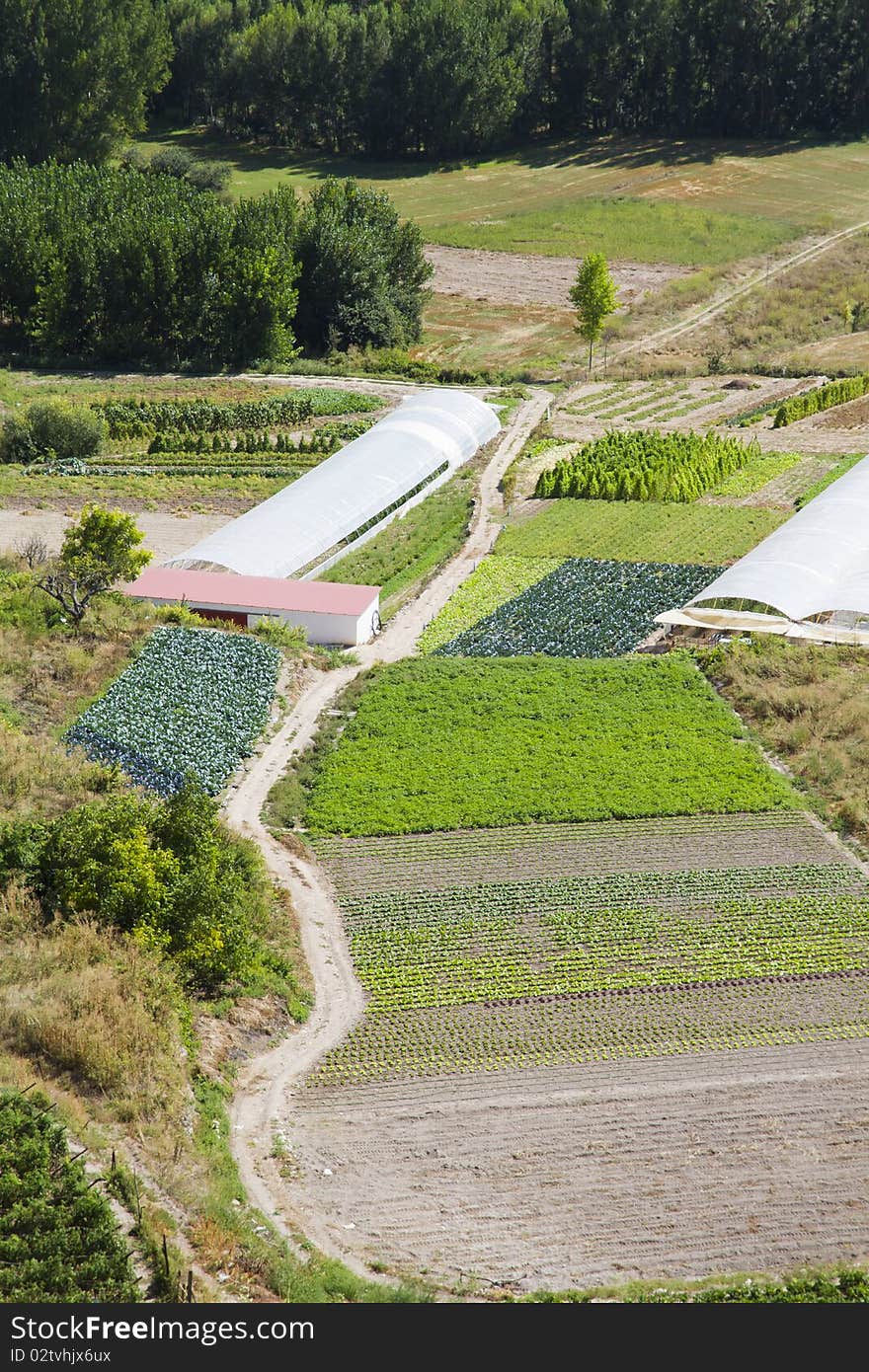 Cultivated land in a rural landscape, Brihuega, Spain