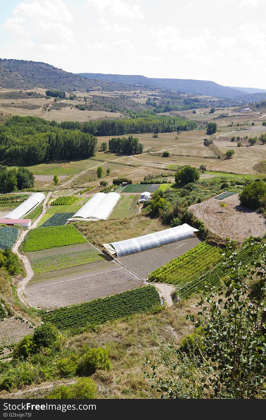 Cultivated land in a rural landscape