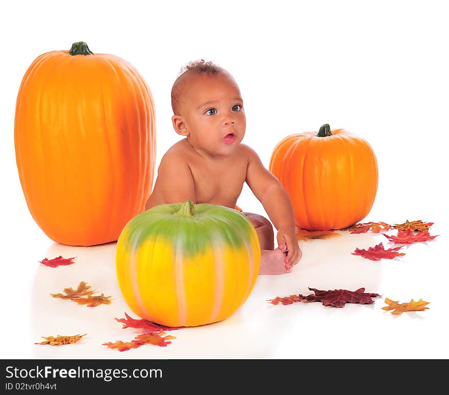 An adorable biracial baby among pumpkins and autumn leaves.  Isolated on white. An adorable biracial baby among pumpkins and autumn leaves.  Isolated on white.