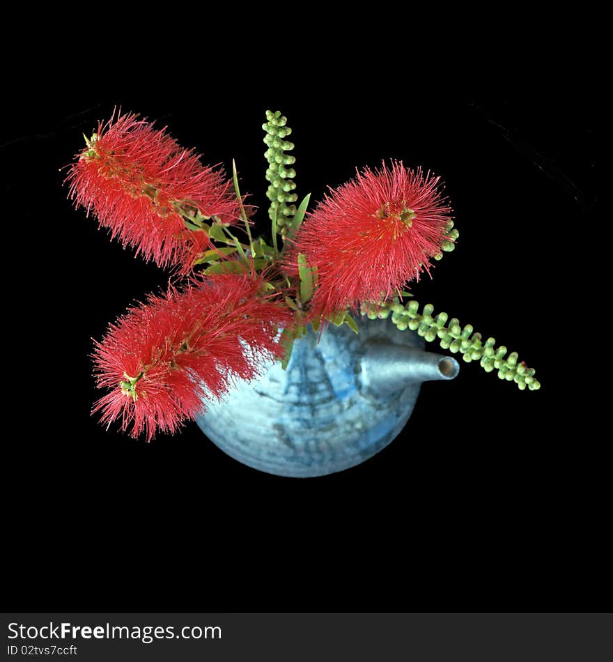 Bright red bottlebrush (callistemon) bouquet in black and silver ceramic vase; this flower is endemic to Australia; black background. Bright red bottlebrush (callistemon) bouquet in black and silver ceramic vase; this flower is endemic to Australia; black background