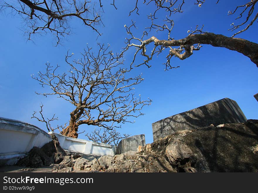 Fortress with tree in autumn. Fortress with tree in autumn