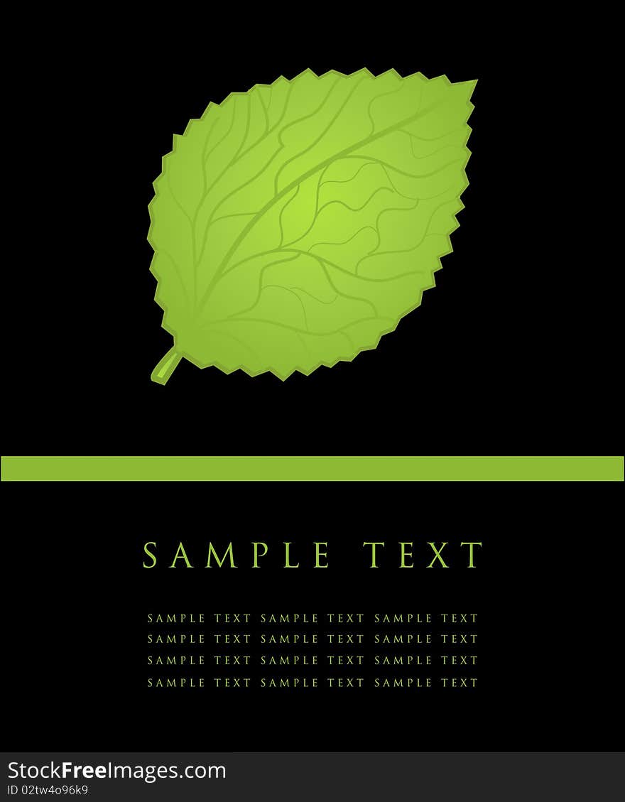 Summer symbol Green leave card.