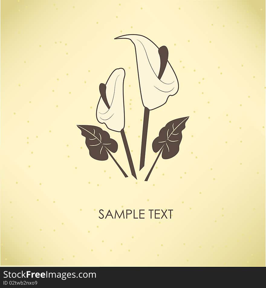 Floral card with calla lily flower. illustration.