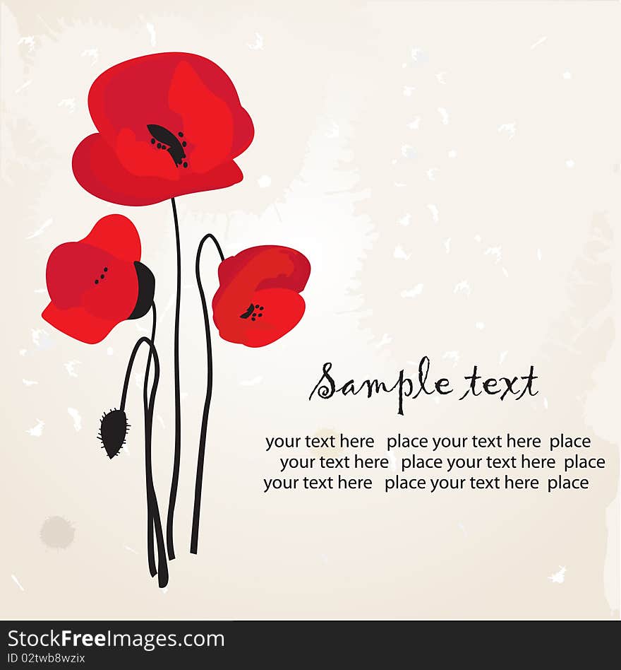 Red poppy isolated over white