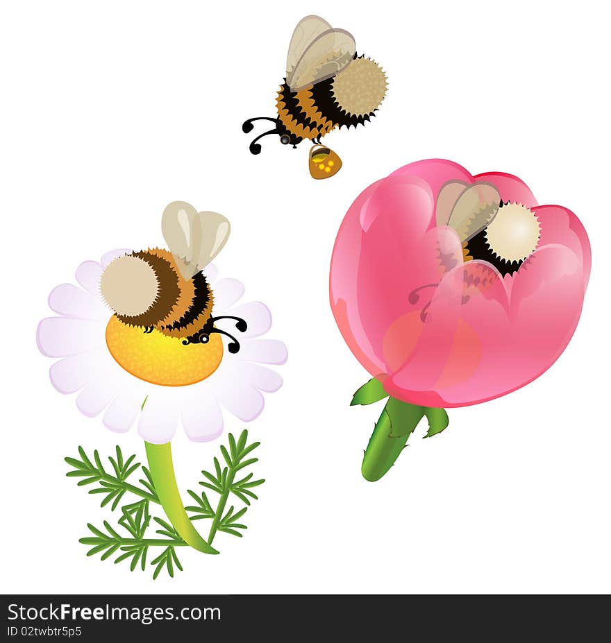 Vector cartoon bumblebees