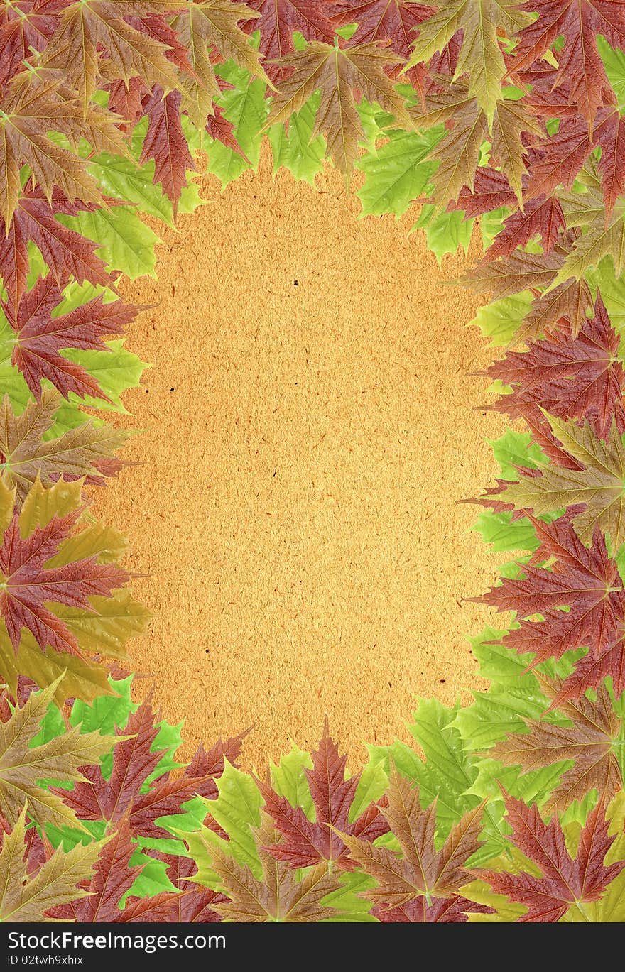 Autumn background with blank old paper and leaves