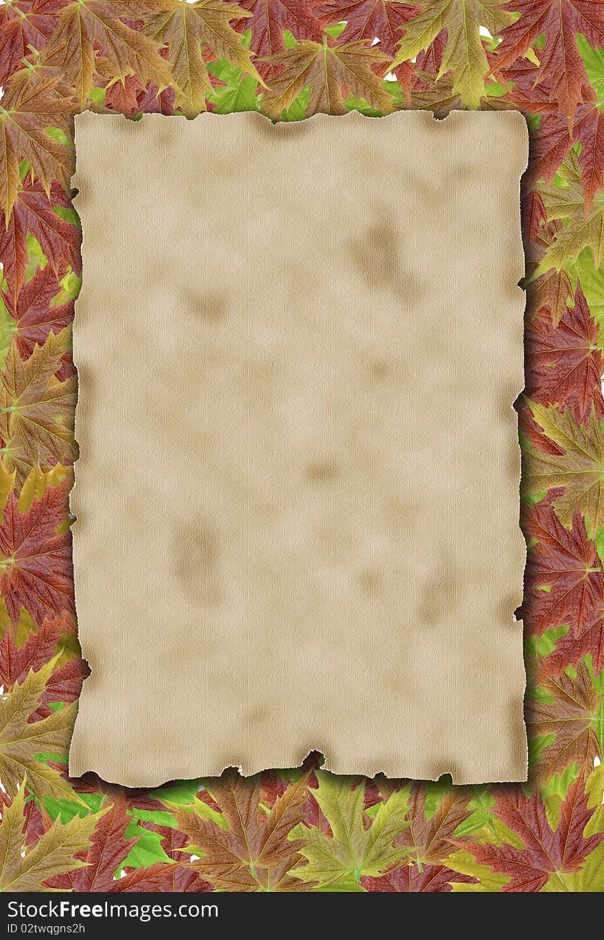 Autumn Background With Blank Old Paper And Leaves