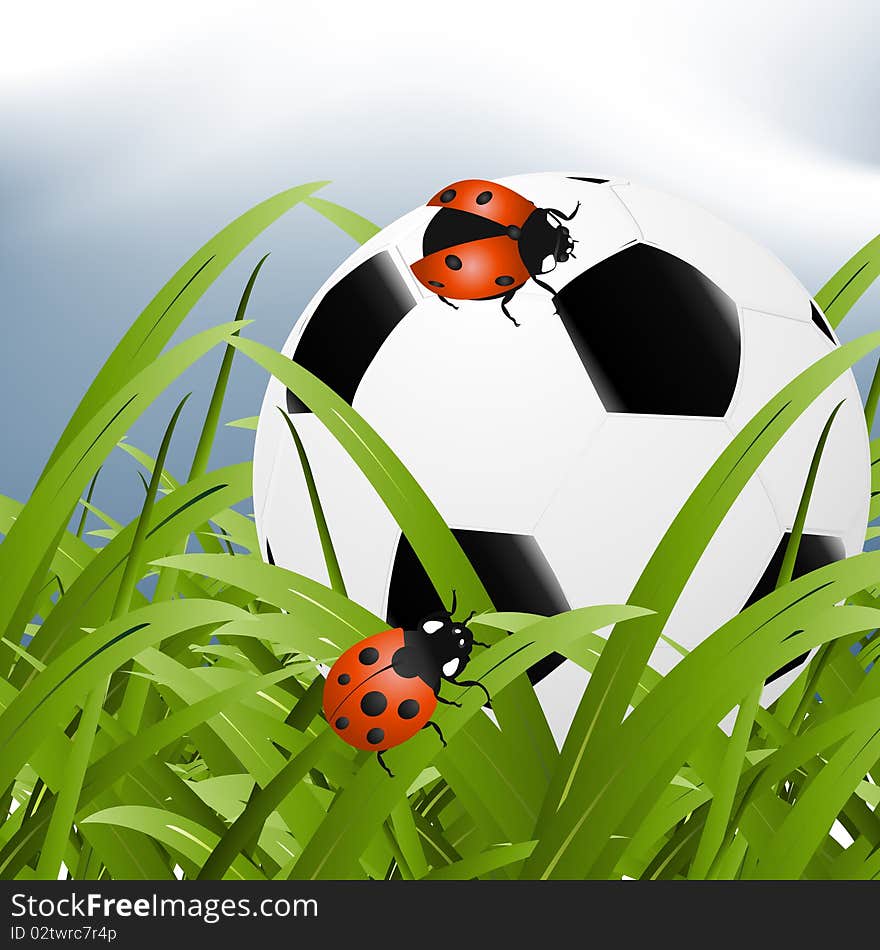 Ball between grass and two ladybugs around it.