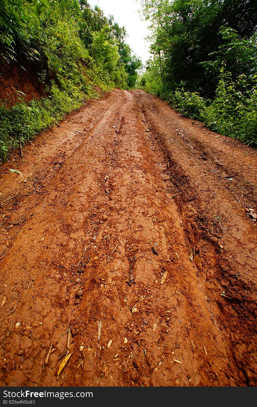 Dirt road through forest off road