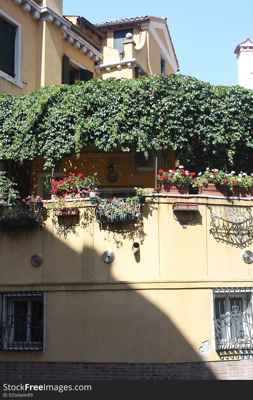 Rich vegetation in the heart of a Venetian house. Rich vegetation in the heart of a Venetian house