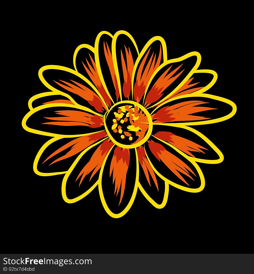 Beautifull vector flowers on black background (illustration)