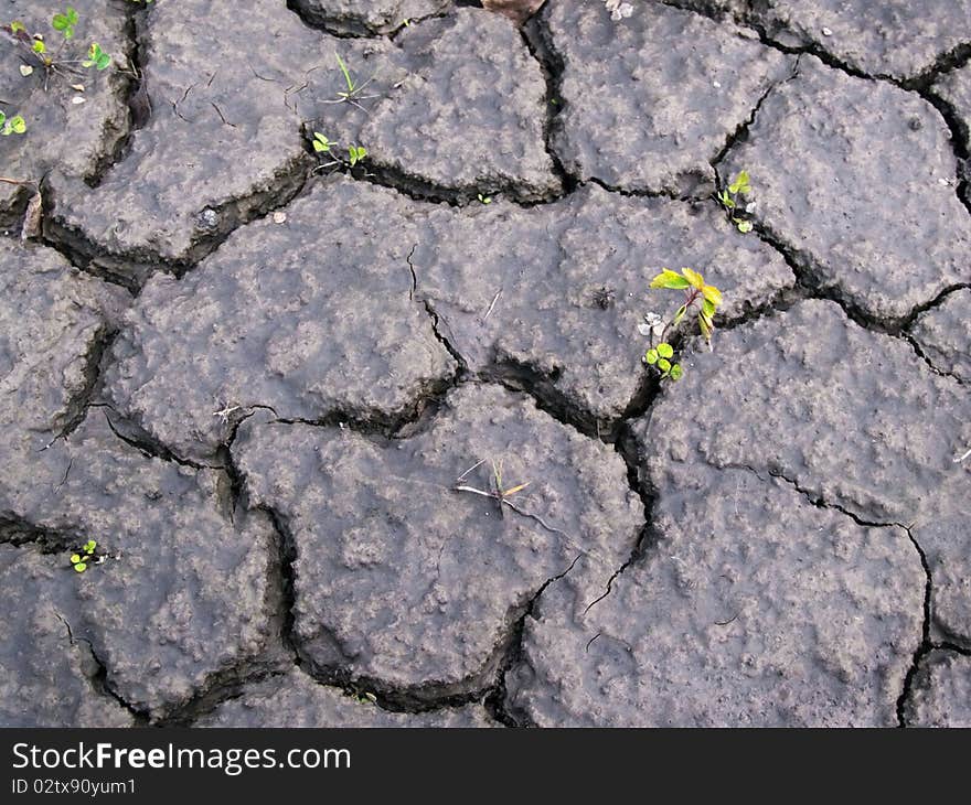 Abnormal heat, drought and crop failure in Russia