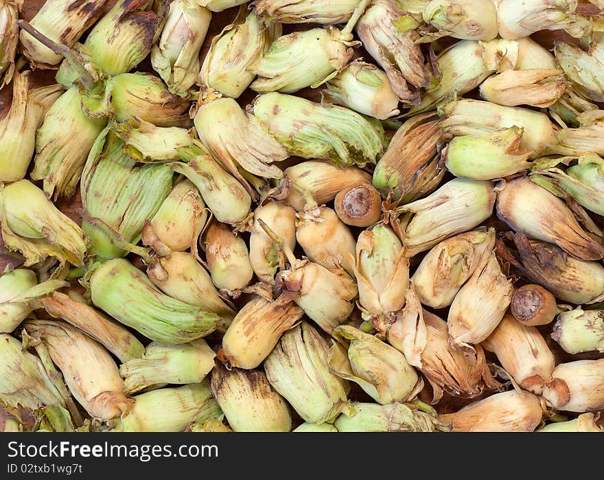 A natural background of hazelnuts, also known as cobnuts or filberts. Variety is Kent Cob. A natural background of hazelnuts, also known as cobnuts or filberts. Variety is Kent Cob.