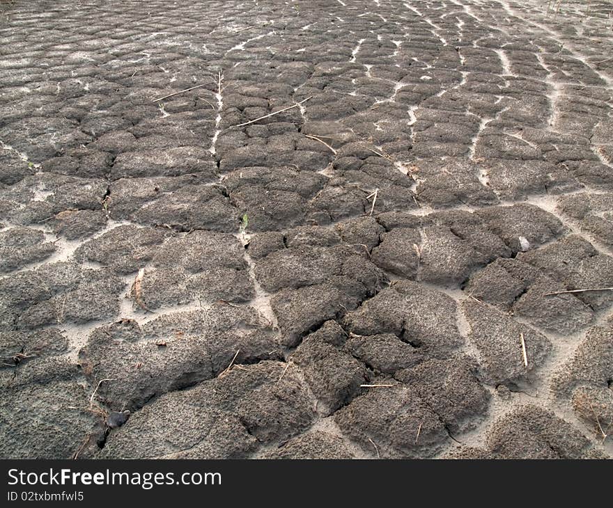 Abnormal heat, drought and crop failure in Russia