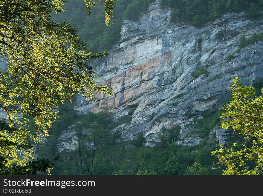 Сliff in the canyon