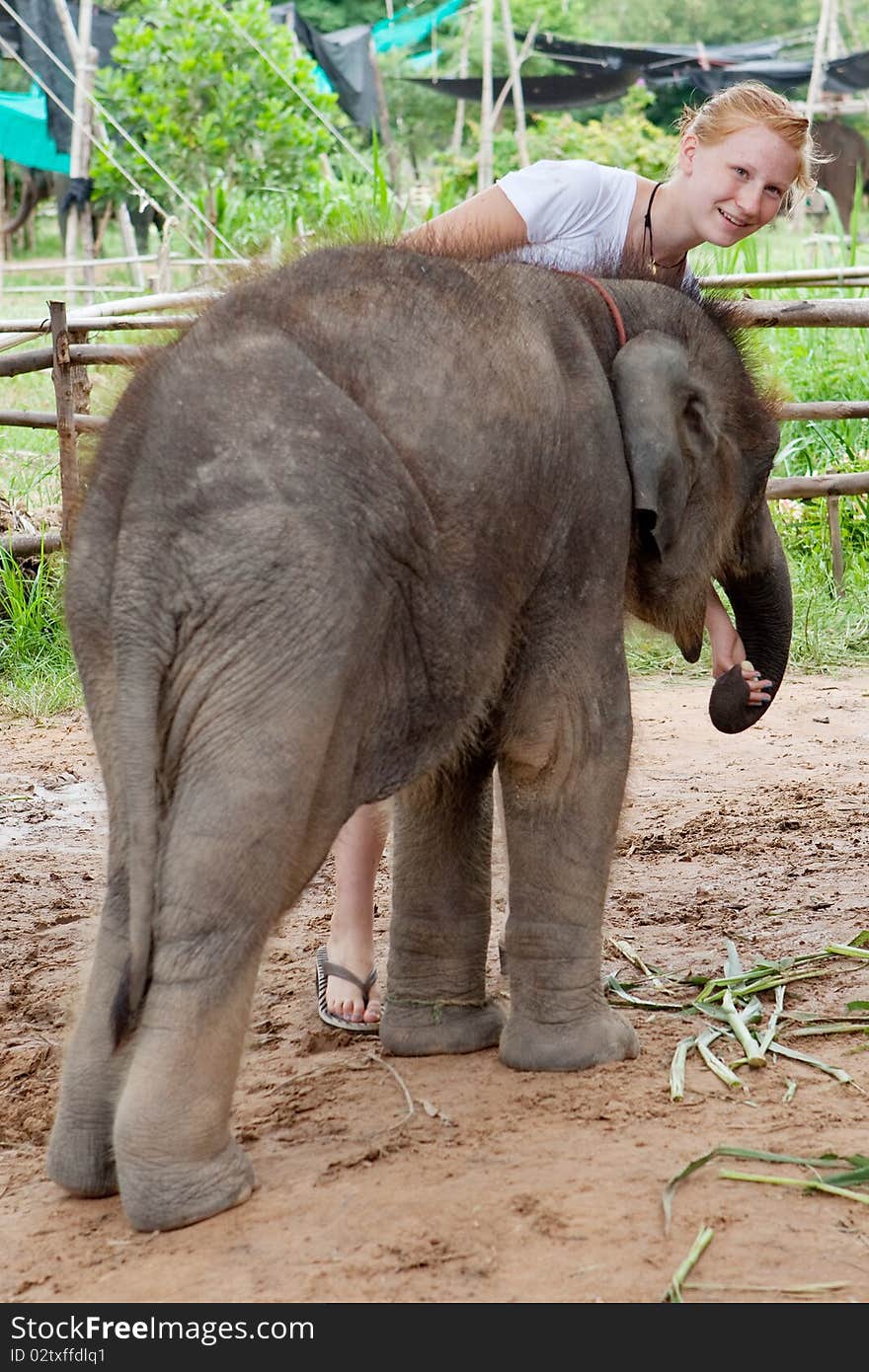 Teenager with baby elephant