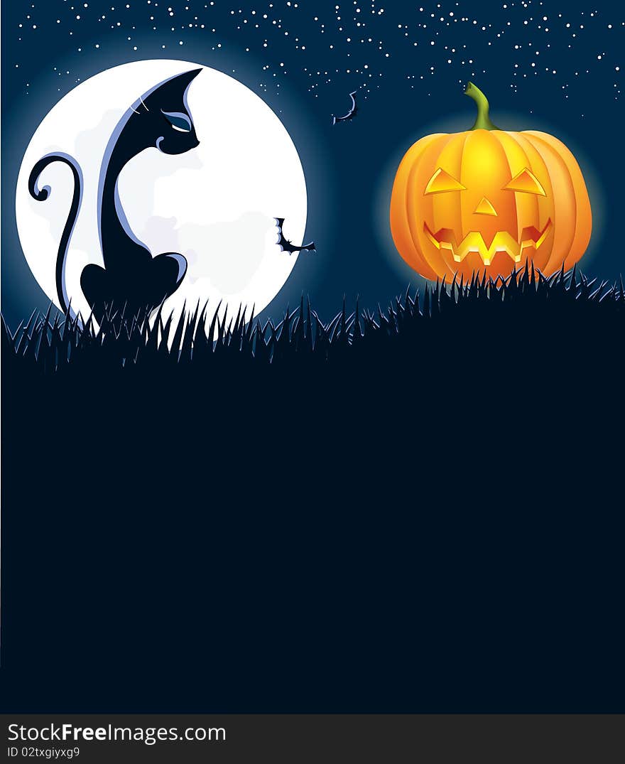 black cat and pumpkin in night .Vector. black cat and pumpkin in night .Vector