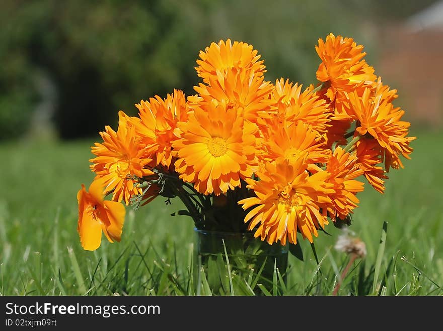 Bouquet of yellow nails