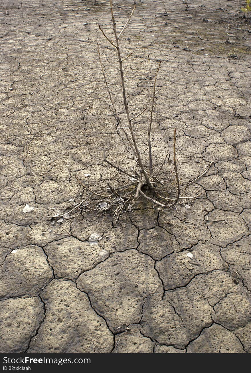 Abnormal heat, drought and crop failure in Russia