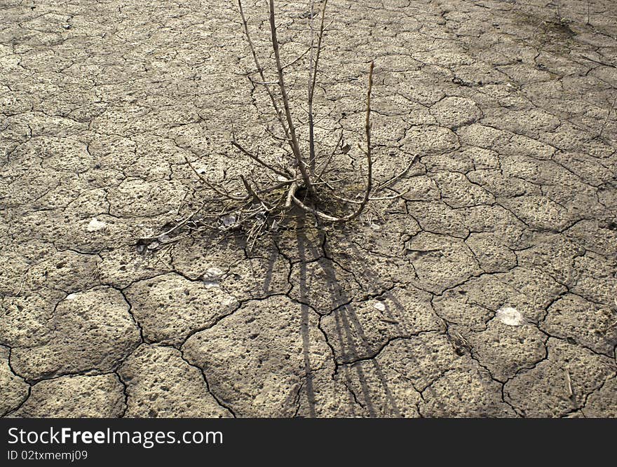 Abnormal heat, drought and crop failure in Russia