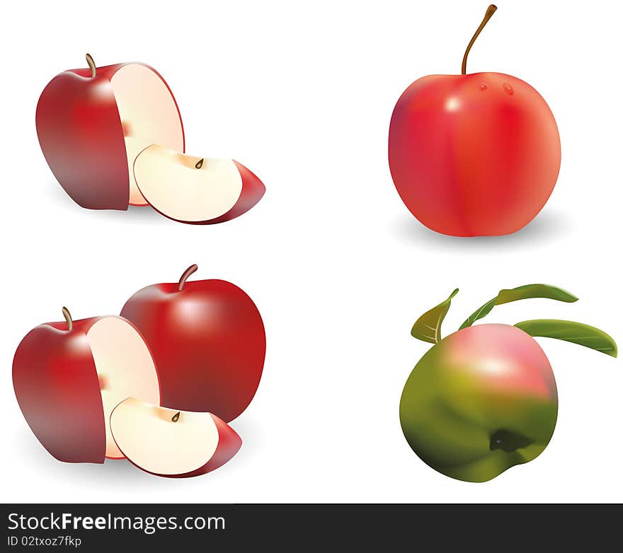 Four realistic images of apples. Vector image.