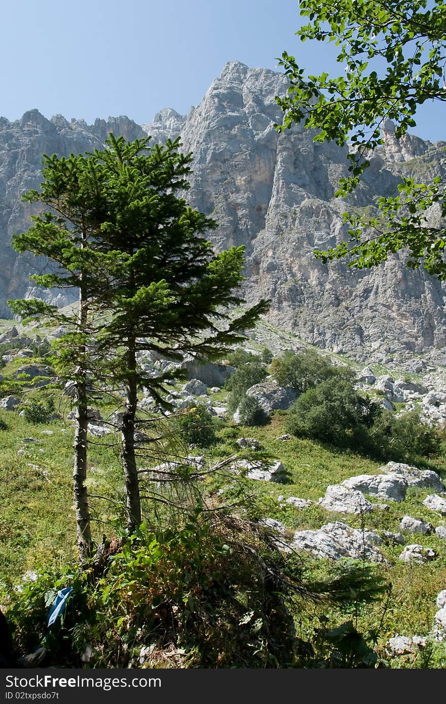 Landscape in mountains