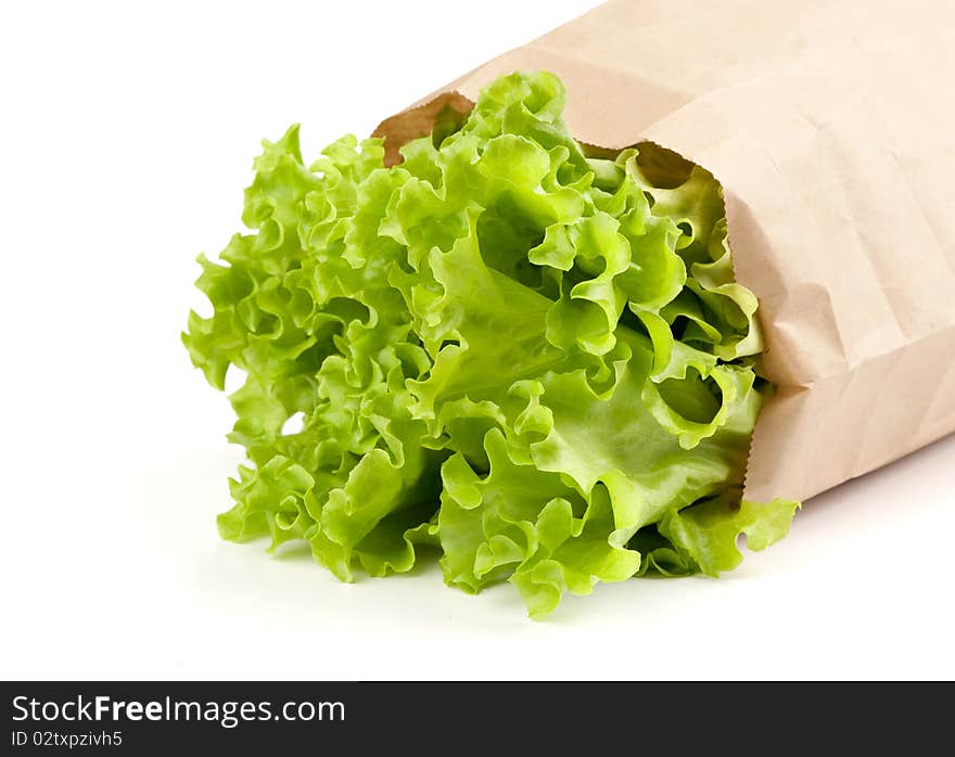 Fresh Salad Lettuce