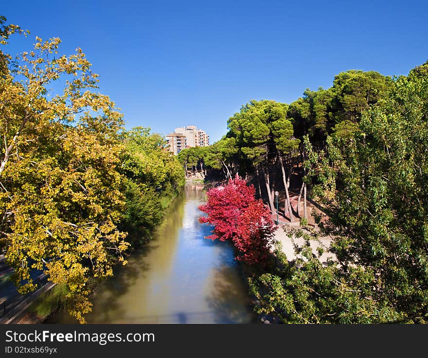 Trees and river in a park