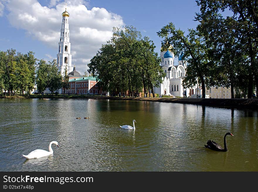 Swans At A Monastery