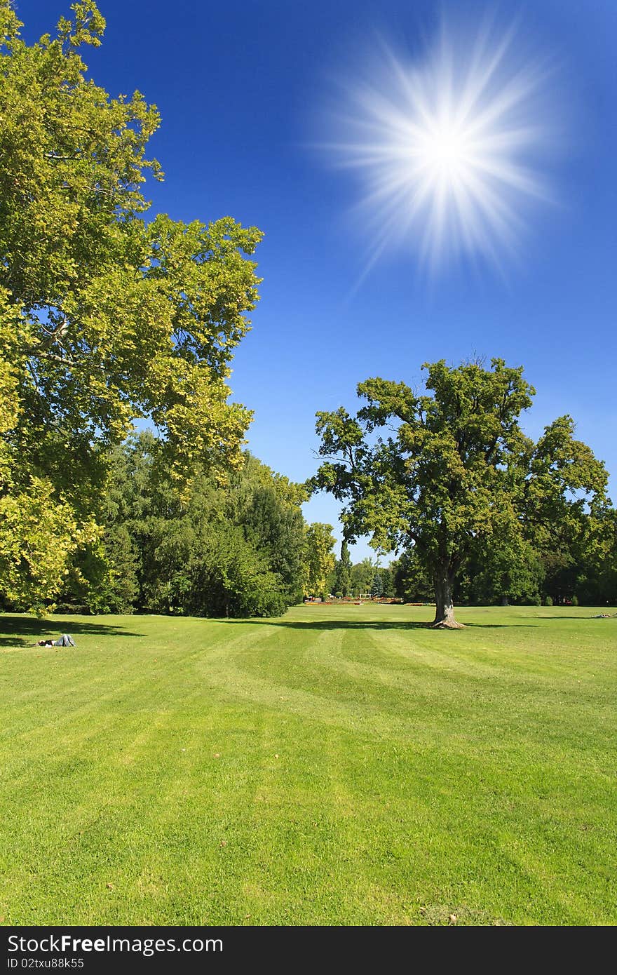 Green park with blue sky and sun, Hungary