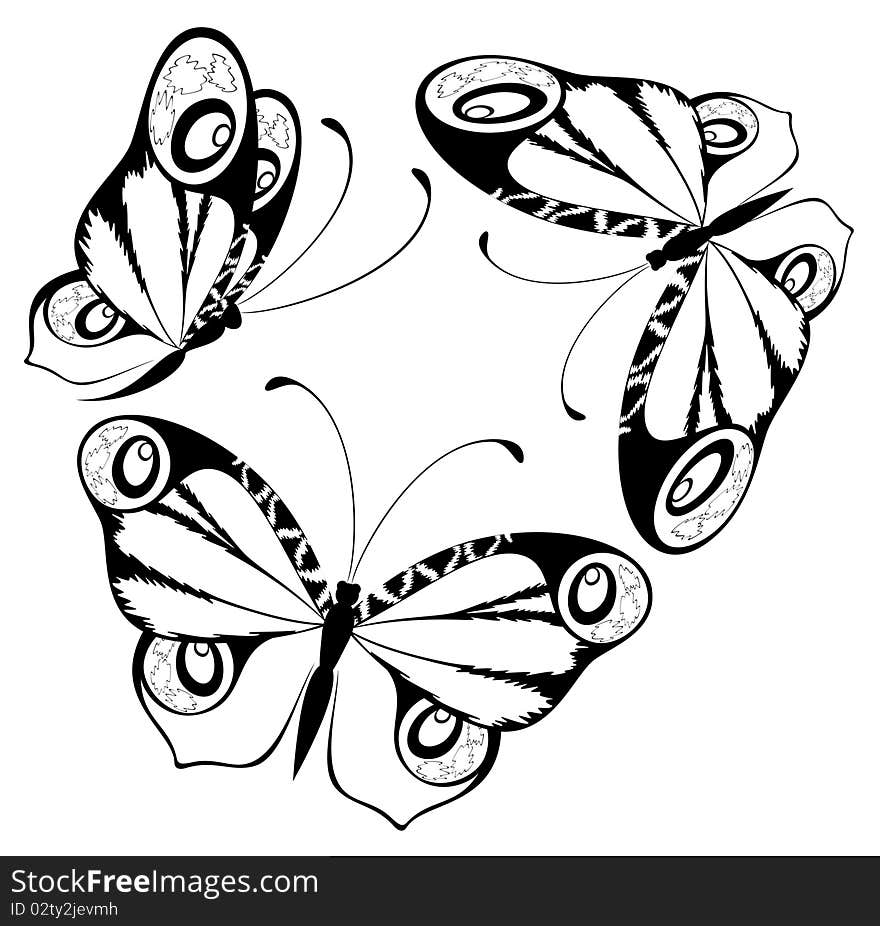 Butterfly