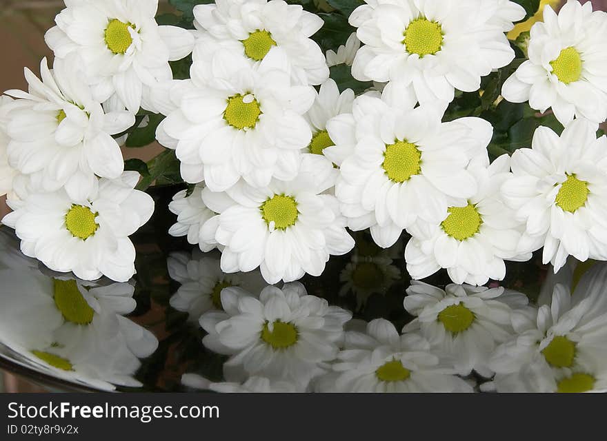 Bouquet of white chrysanthemums