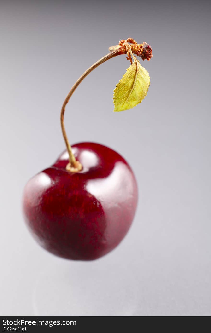 A red cherry with stem and leaf, focus on the leaf. . A red cherry with stem and leaf, focus on the leaf.