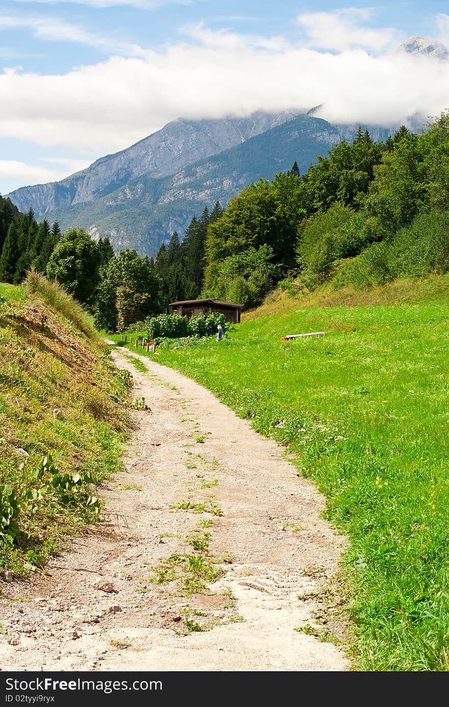 Country road near a meadow