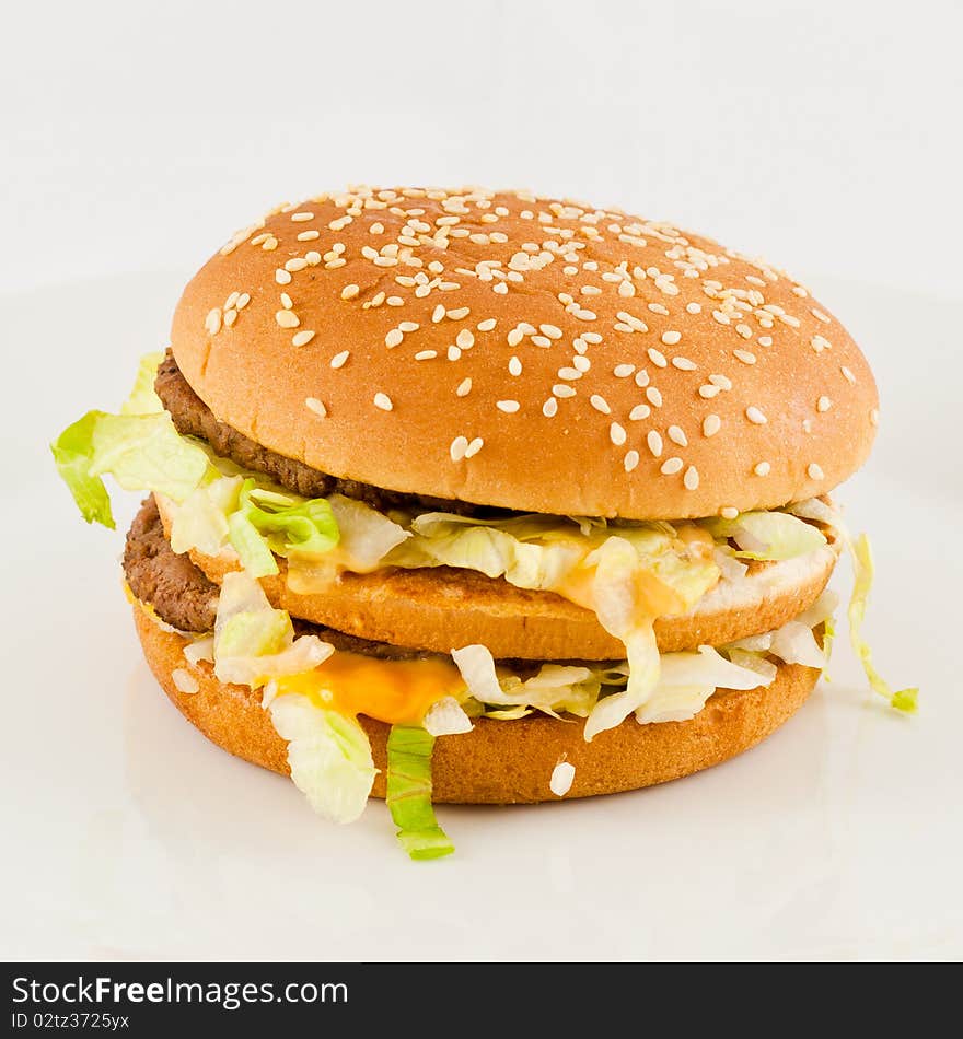 Photo of a beefburger on a plate