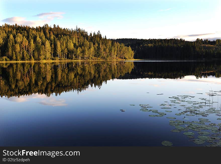 Water lake mirroring trees under a blue sky