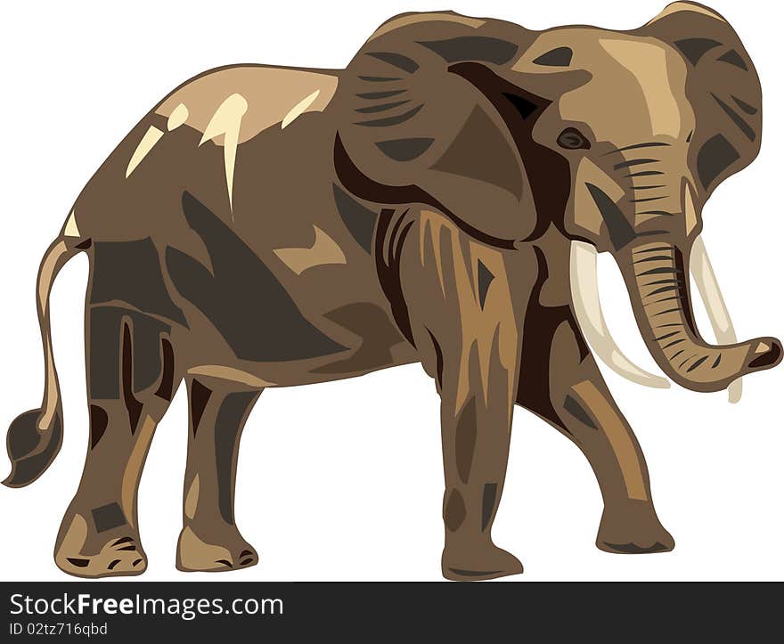 Forest Elephant Is Living In A Rain Forest