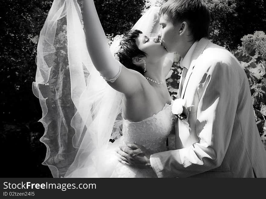 Happy groom and the bride kiss in park. Happy groom and the bride kiss in park