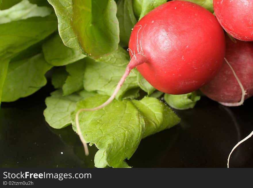 Red radish