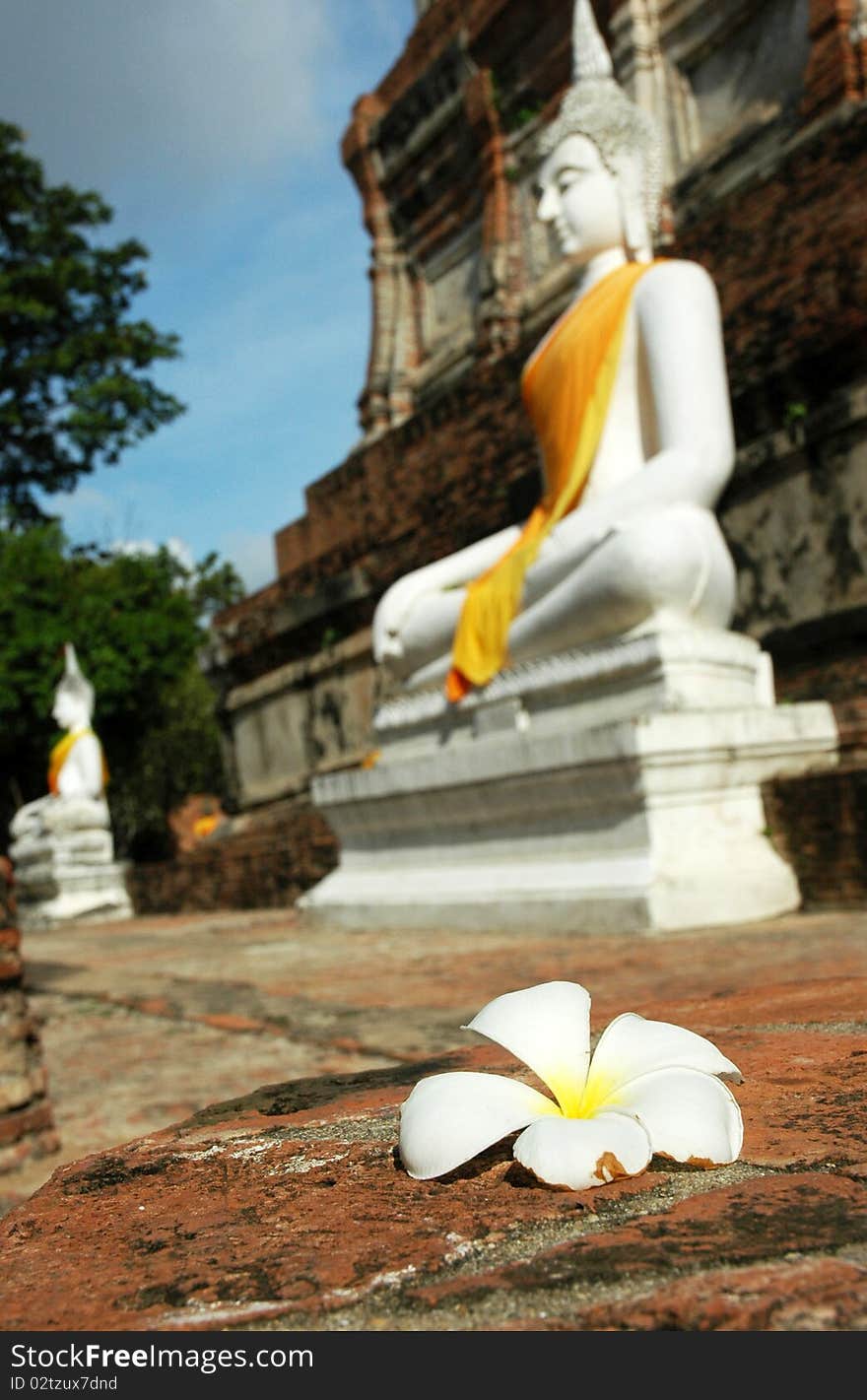 Buddha in ancient Ayutthaya - Thailand. Buddha in ancient Ayutthaya - Thailand