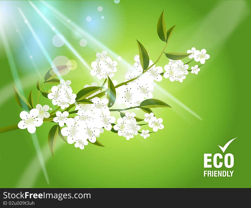 Environmental and Ecology concept  background . Environmental and Ecology concept  background .