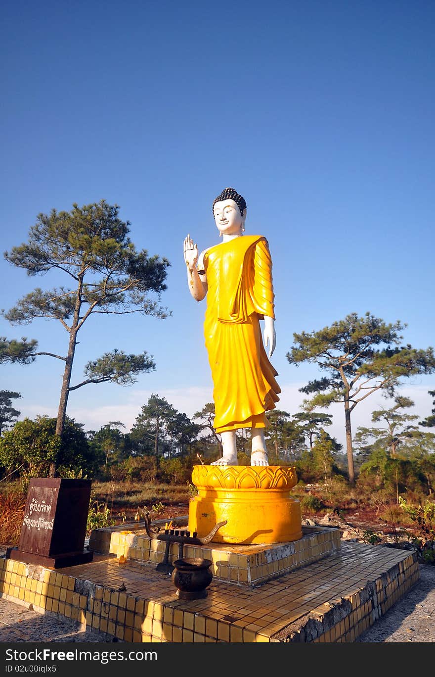 Buddha in forest