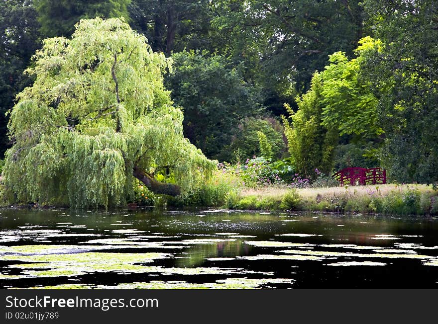 Lake at Forde Abbey