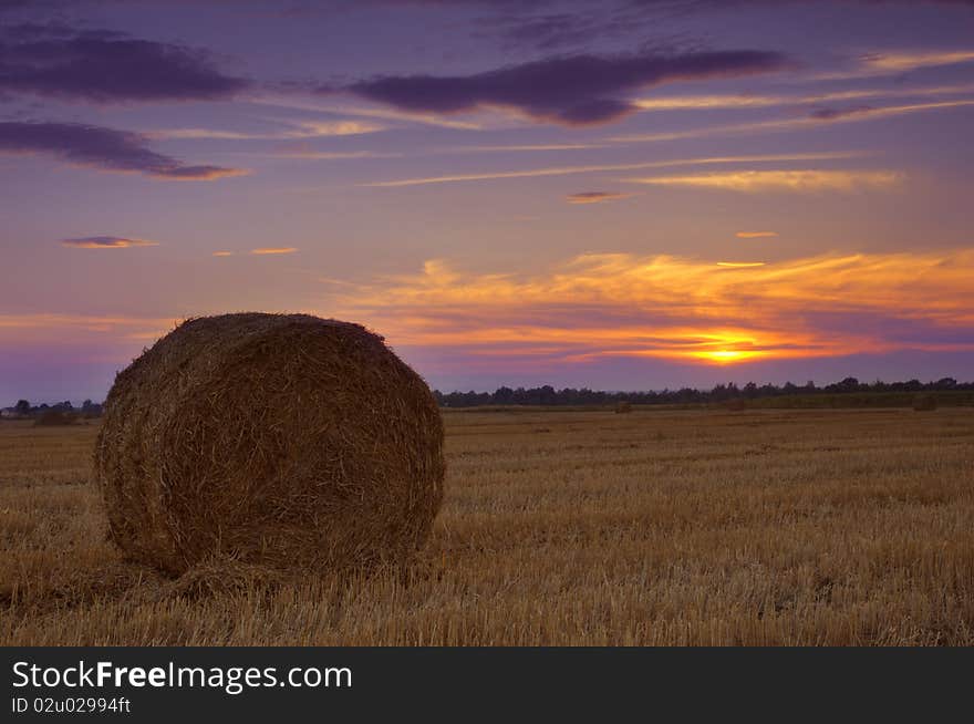 Straw bale on field on sunset time