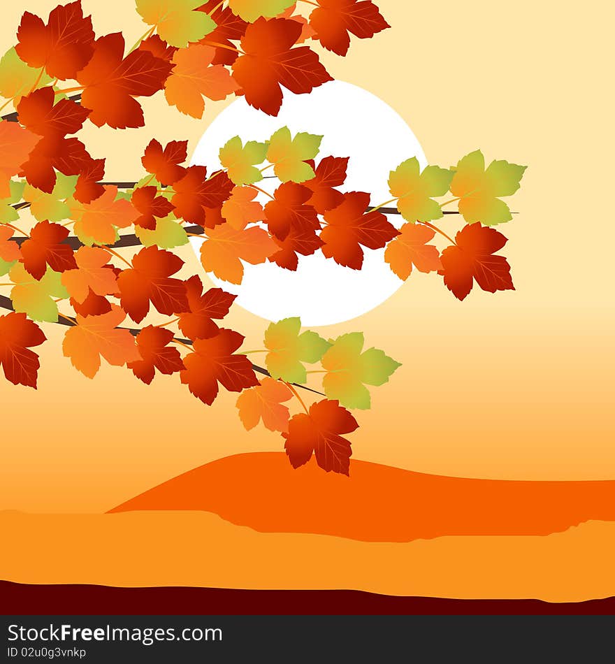 Colorful background of fallen autumn leaves