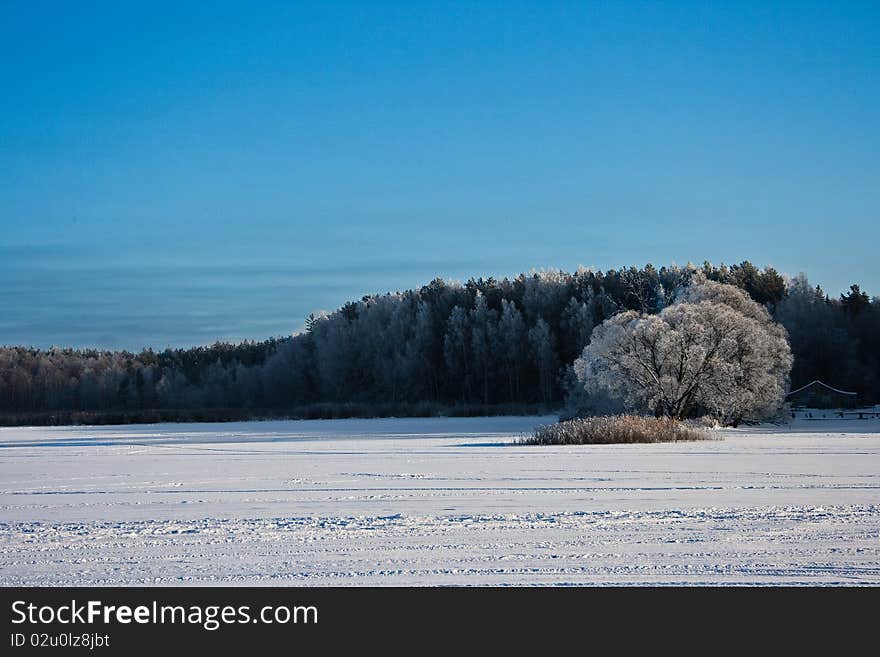 Winter Landscape