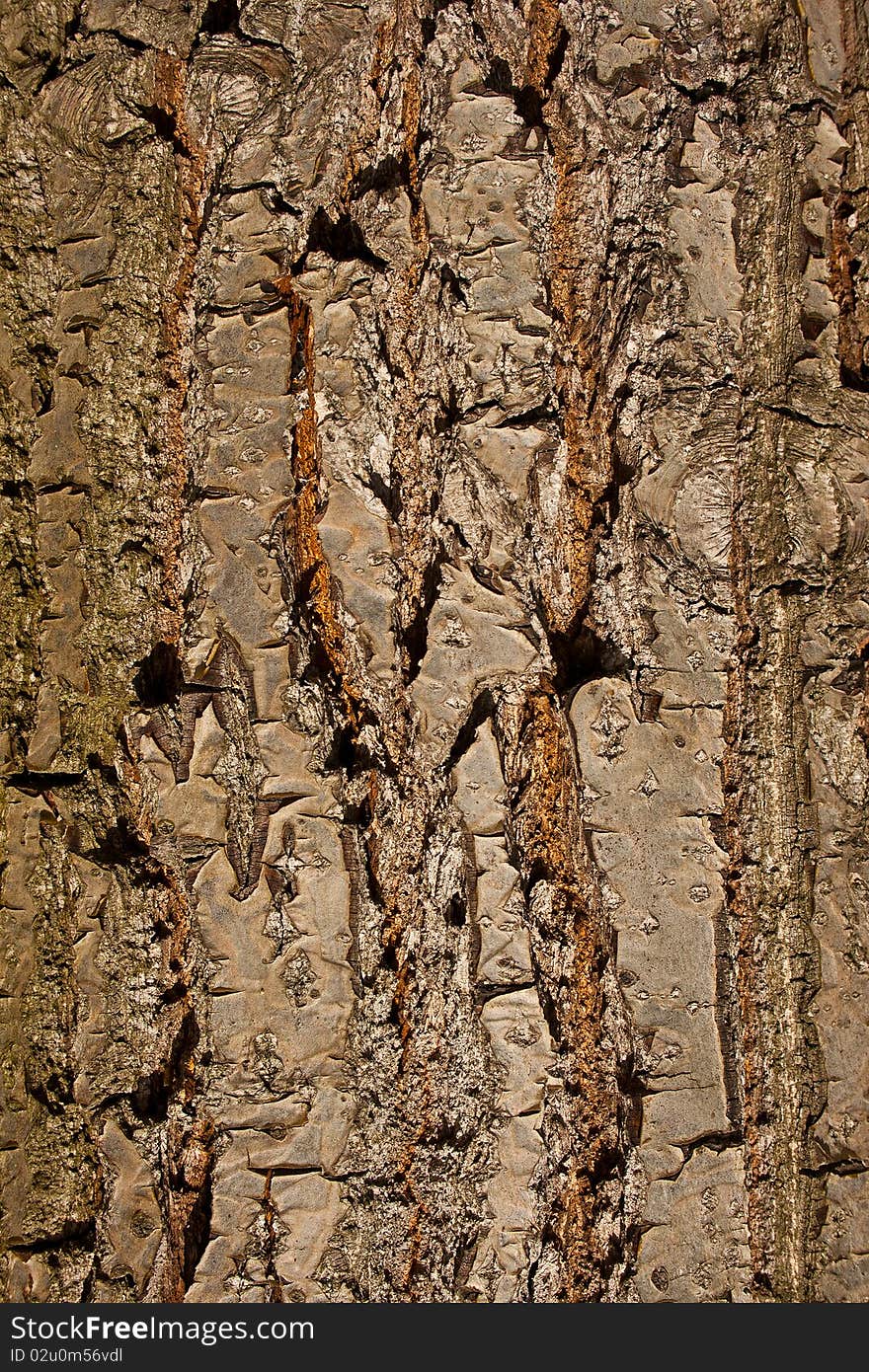 Old wood texture horizontal close up