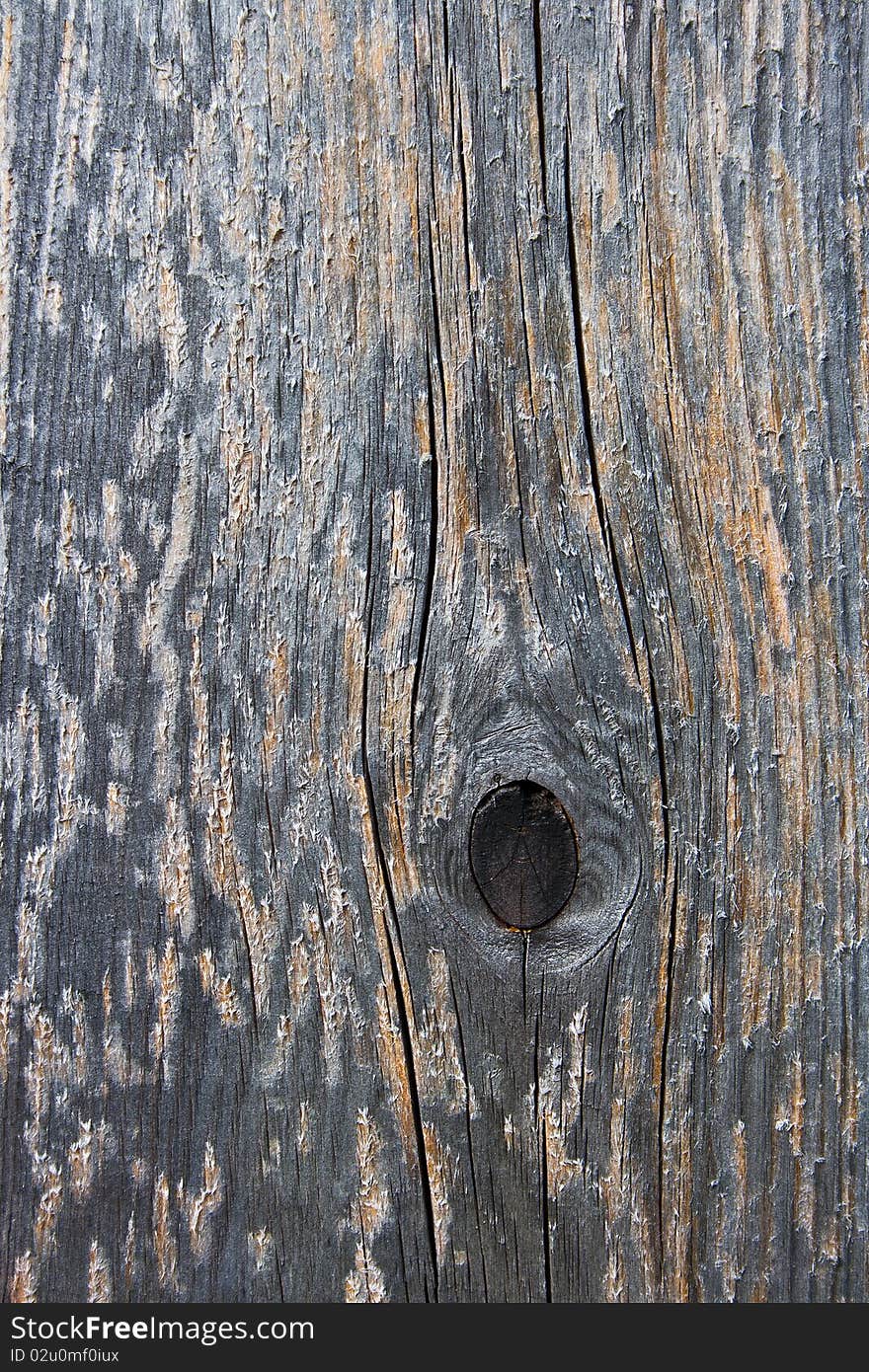 Old wood texture vertical close up